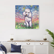 Poodle White Night