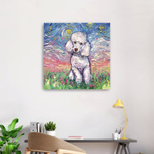 Poodle White Night