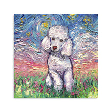 Poodle White Night