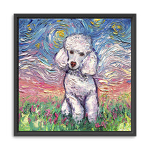 Poodle White Night