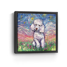 Poodle White Night