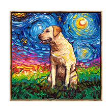 Starry Night Paws Collection VII (Assorted Pack of 4)