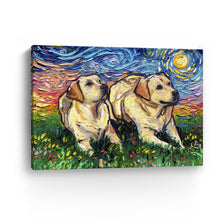 Yellow Labradors Night