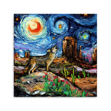 Southwestern Night