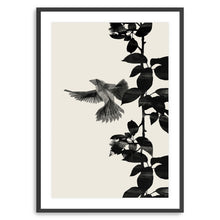 Bird Botanical A