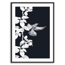 Bird Botanical B