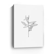 Botanical I BW