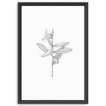 Botanical I BW