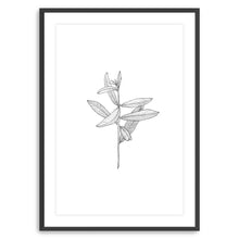 Botanical I BW
