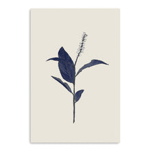 Botanical I