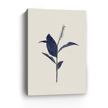 Botanical I