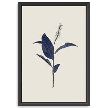 Botanical I