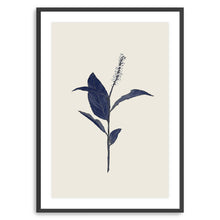 Botanical I