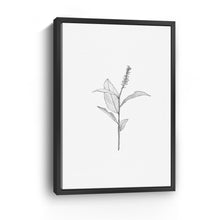 Botanical II BW