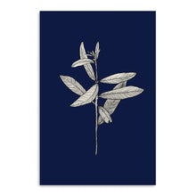 Botanical II