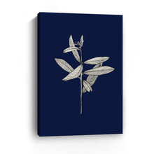 Botanical II