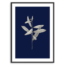 Botanical II