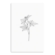 Botanical III BW