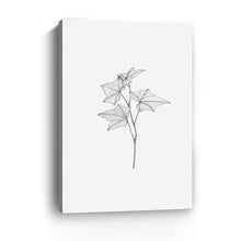 Botanical III BW