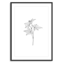 Botanical III BW