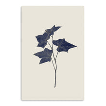 Botanical III