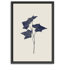 Botanical III
