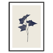 Botanical III