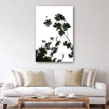 For The Love Of Foliage I