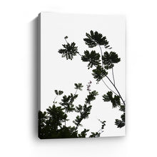 For The Love Of Foliage I