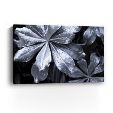 Island Rain I