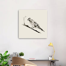 Sketched Bird
