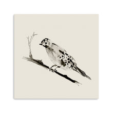Sketched Bird