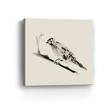 Sketched Bird
