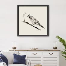 Sketched Bird