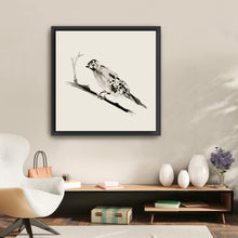Sketched Bird