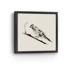 Sketched Bird