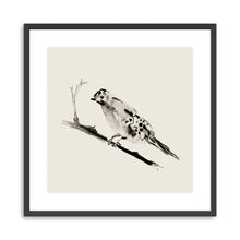 Sketched Bird