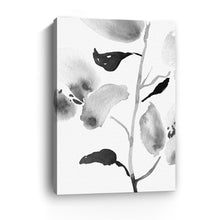 BW Botanical II