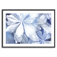 Island Rain Blues - I