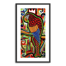 King Macaw