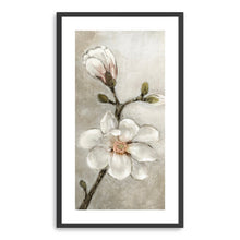 Magnolia in Bloom