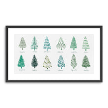Christmas Trees