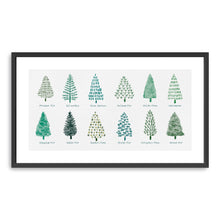 Christmas Trees II