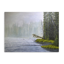 Misty Morning