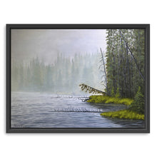 Misty Morning