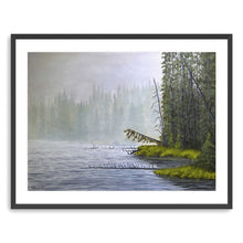 Misty Morning