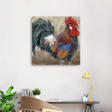 Rooster