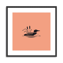 Loon (Salmon)