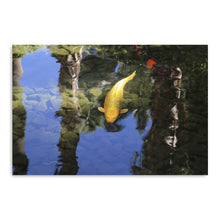 Coyo Canvas Wall Art