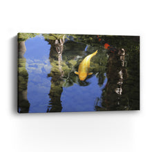 Coyo Canvas Wall Art